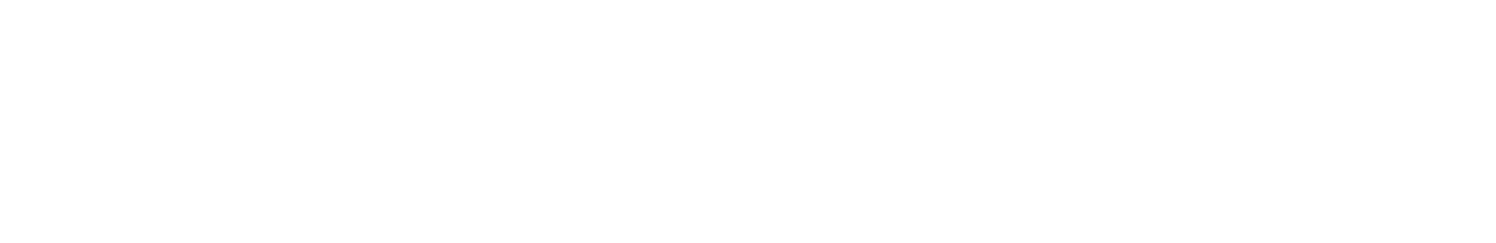 AutoVerify logo